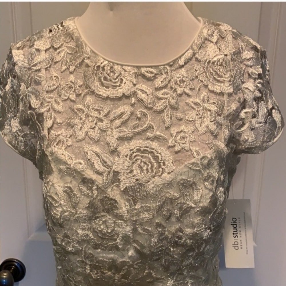 Elegant Lace Gown in Ivory - Picture 10 of 11